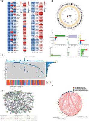 Identification of a novel necroptosis-related classifier to predict prognosis and guide immunotherapy in breast invasive carcinoma